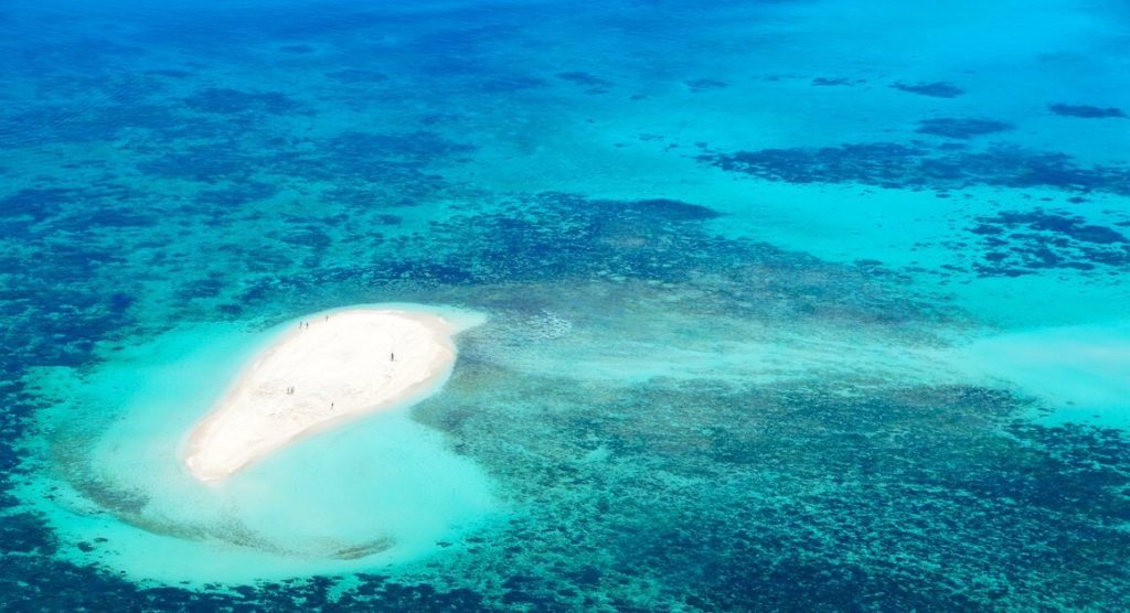 Reef view