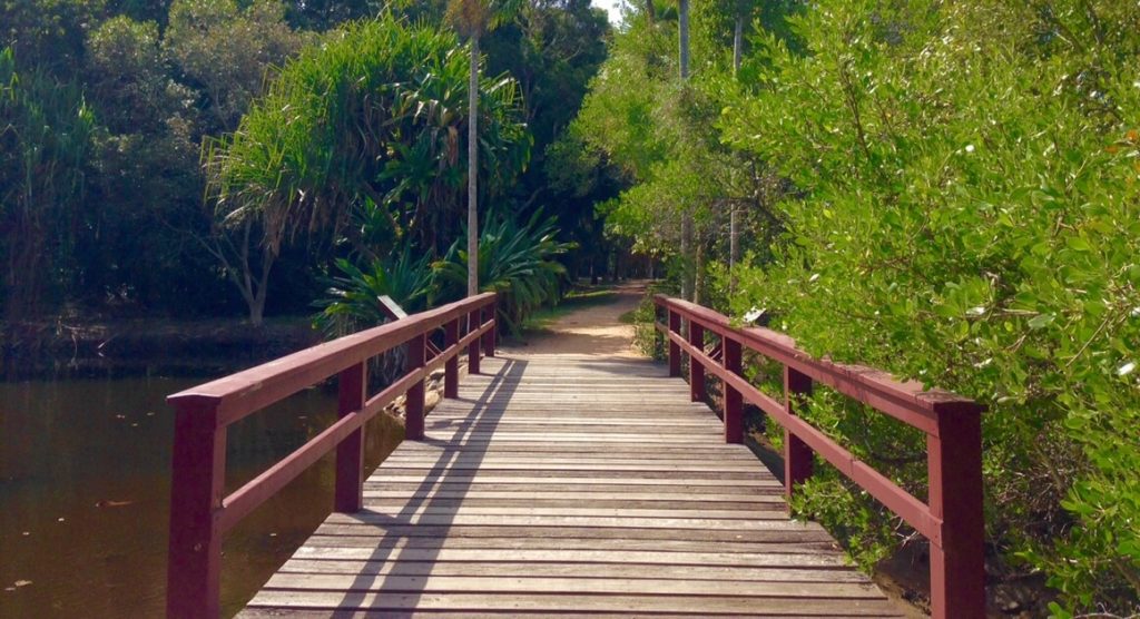 Bridge walk