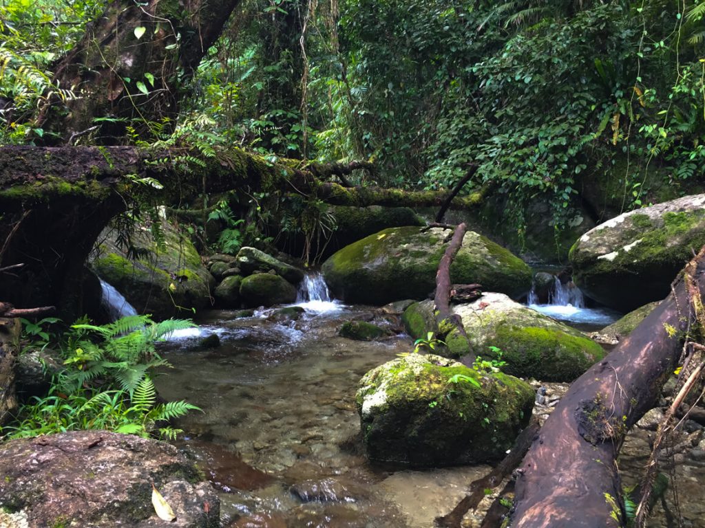 goldfields trail babinda boulders