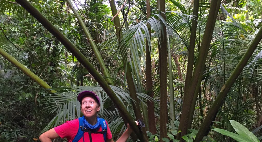 goldfields trail babinda boulders