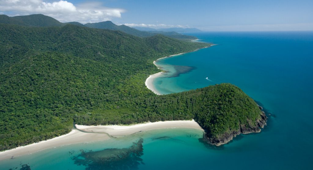 cape tribulation headland