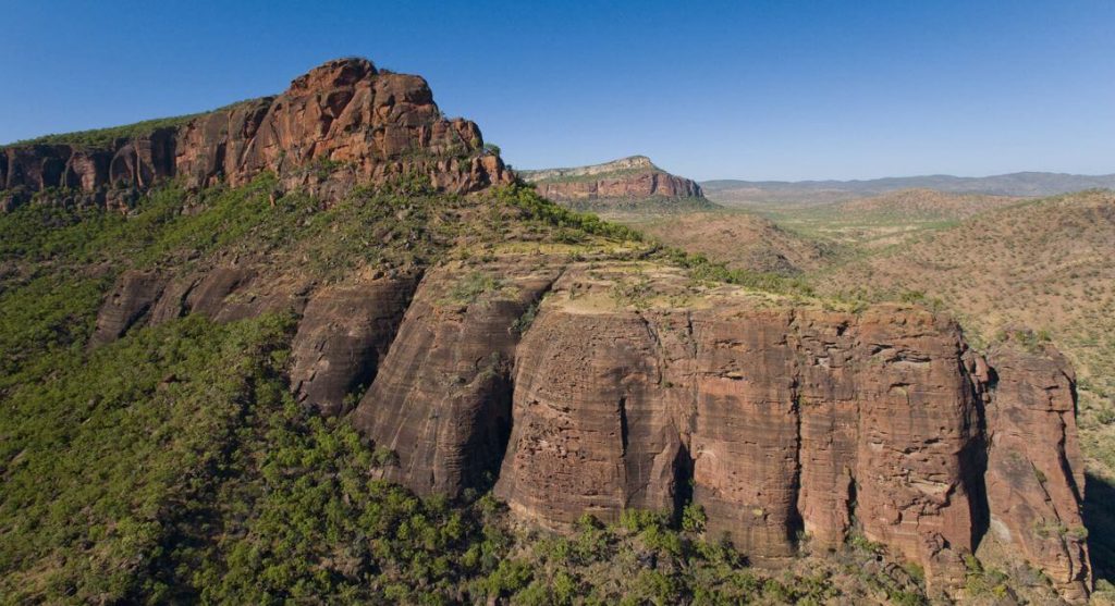 mt mulligan