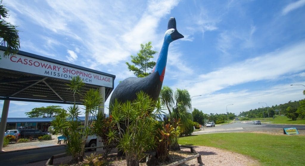 big cassowary mission beach