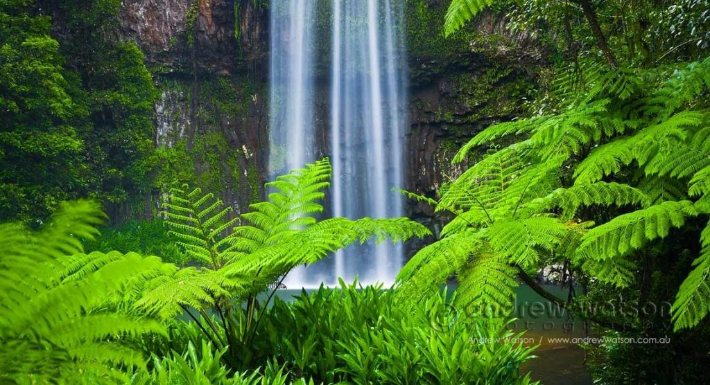 Millaa Millaa waterfall