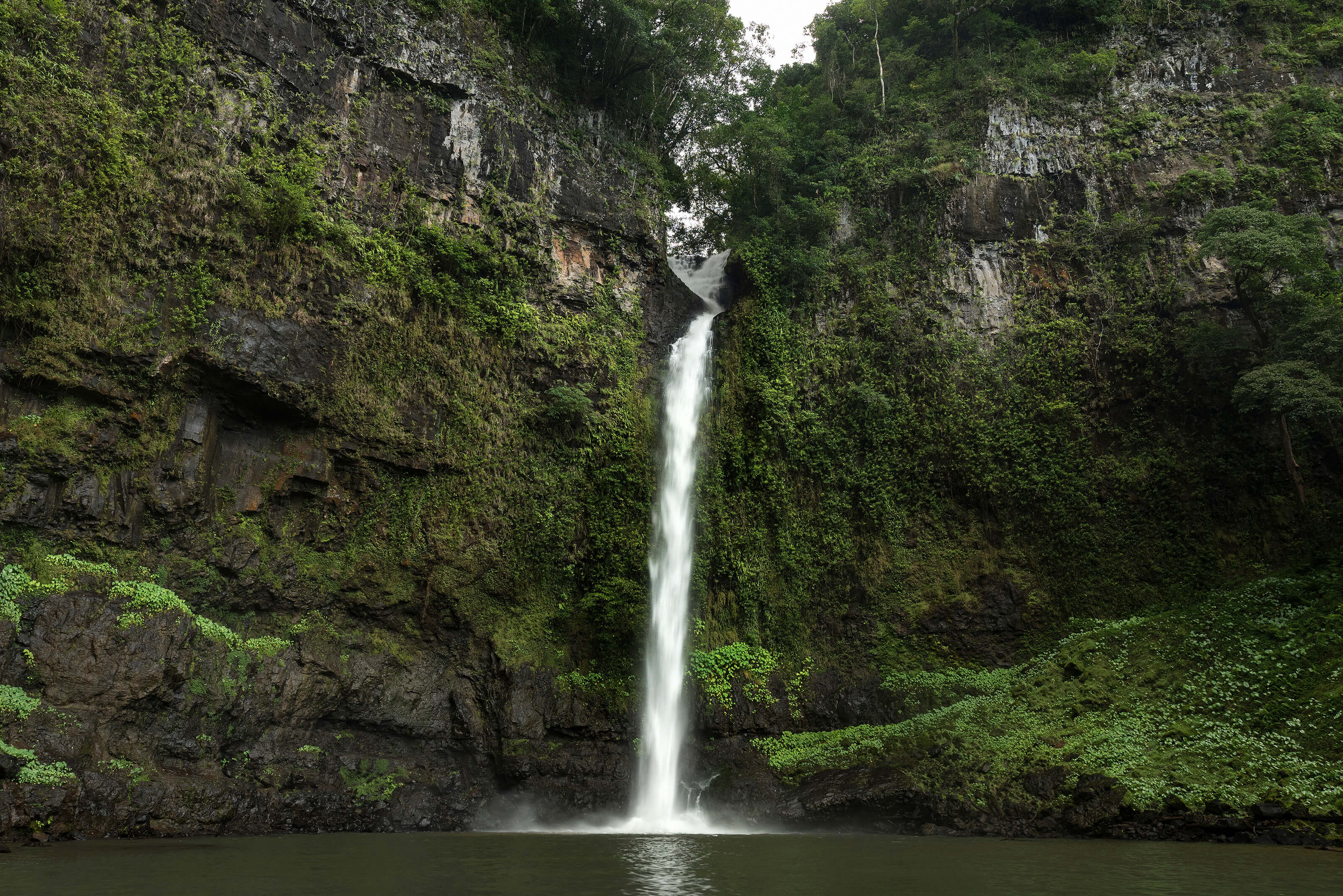 Waterfalls in the Wet Tropics