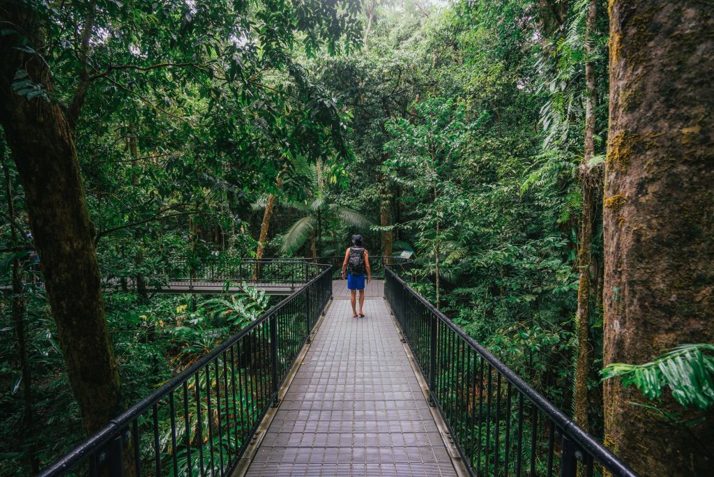 Mossman Gorge