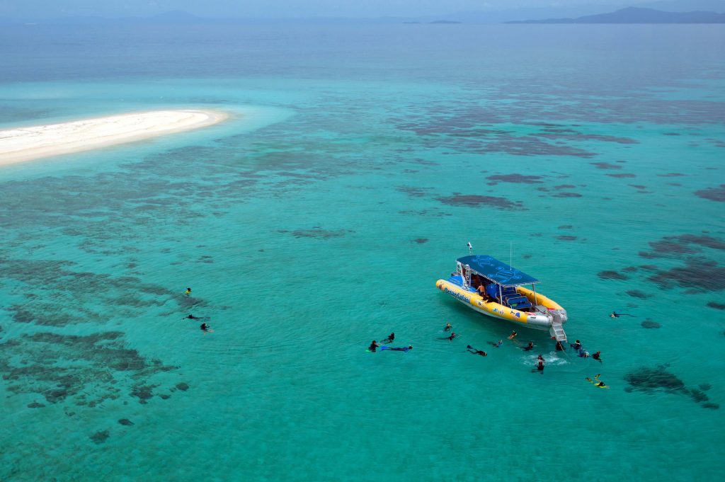 Ocean Safari