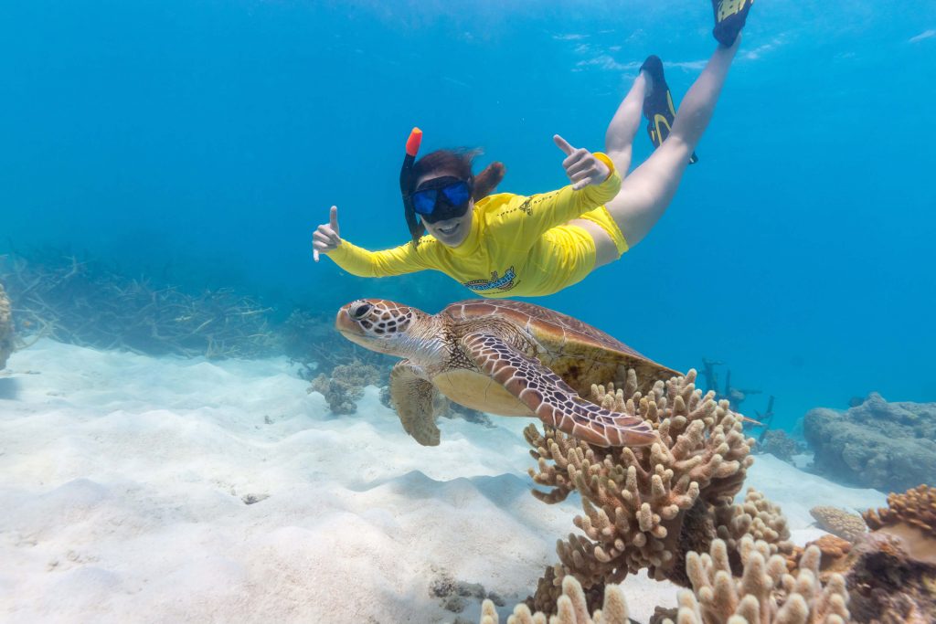 Swimming with sea turtle