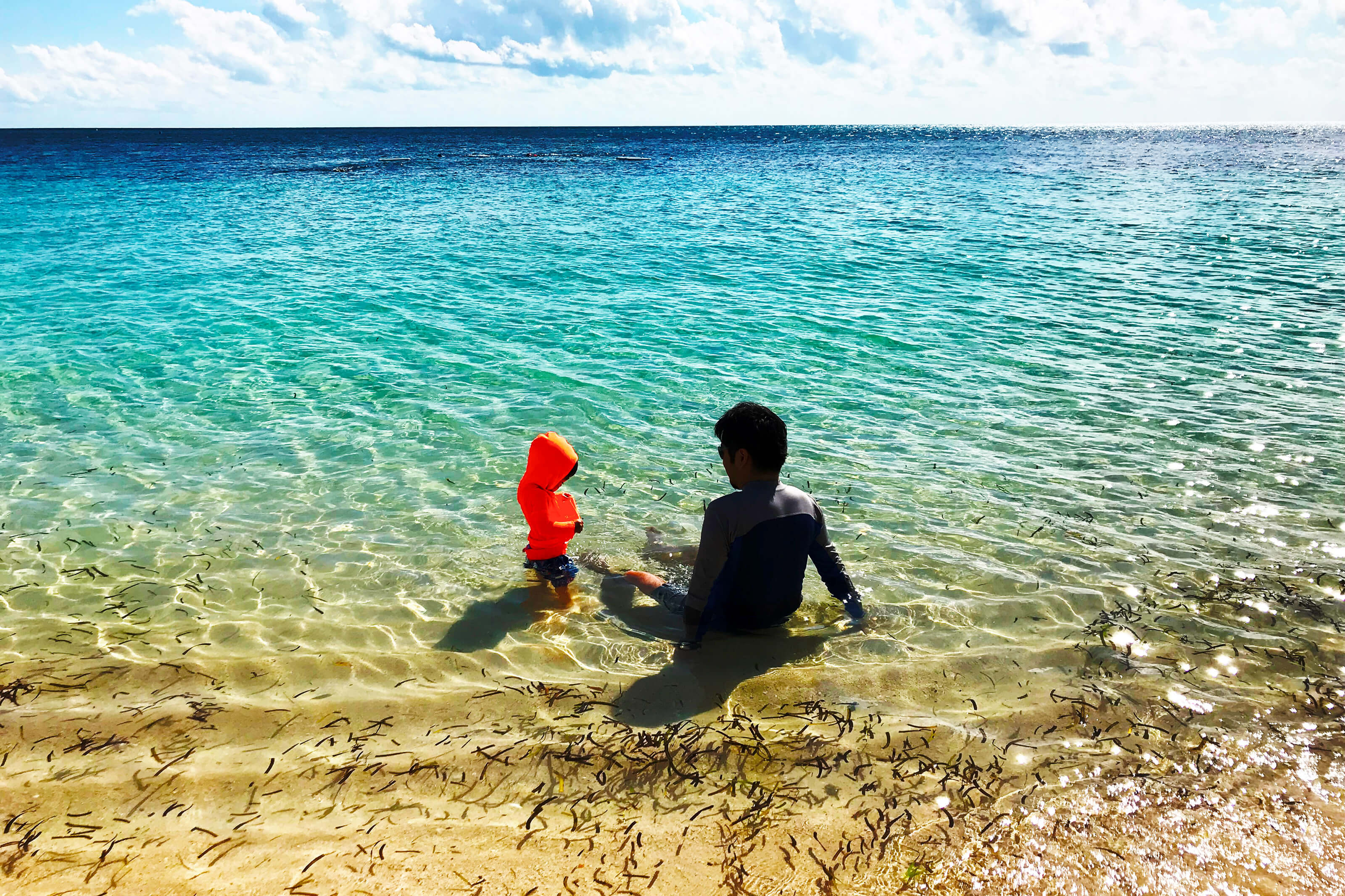 Cairns Great Barrier Reef 子連れ旅行天国 なケアンズ Cairns Great Barrier Reef 子連れ旅行天国 なケアンズ