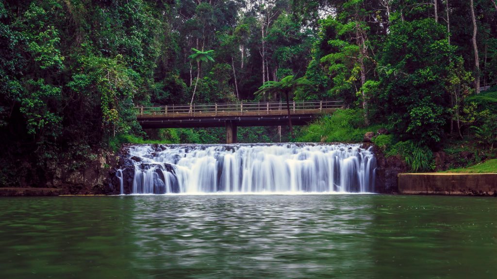 Malanda Falls Flowing in the Atherton Tablelands