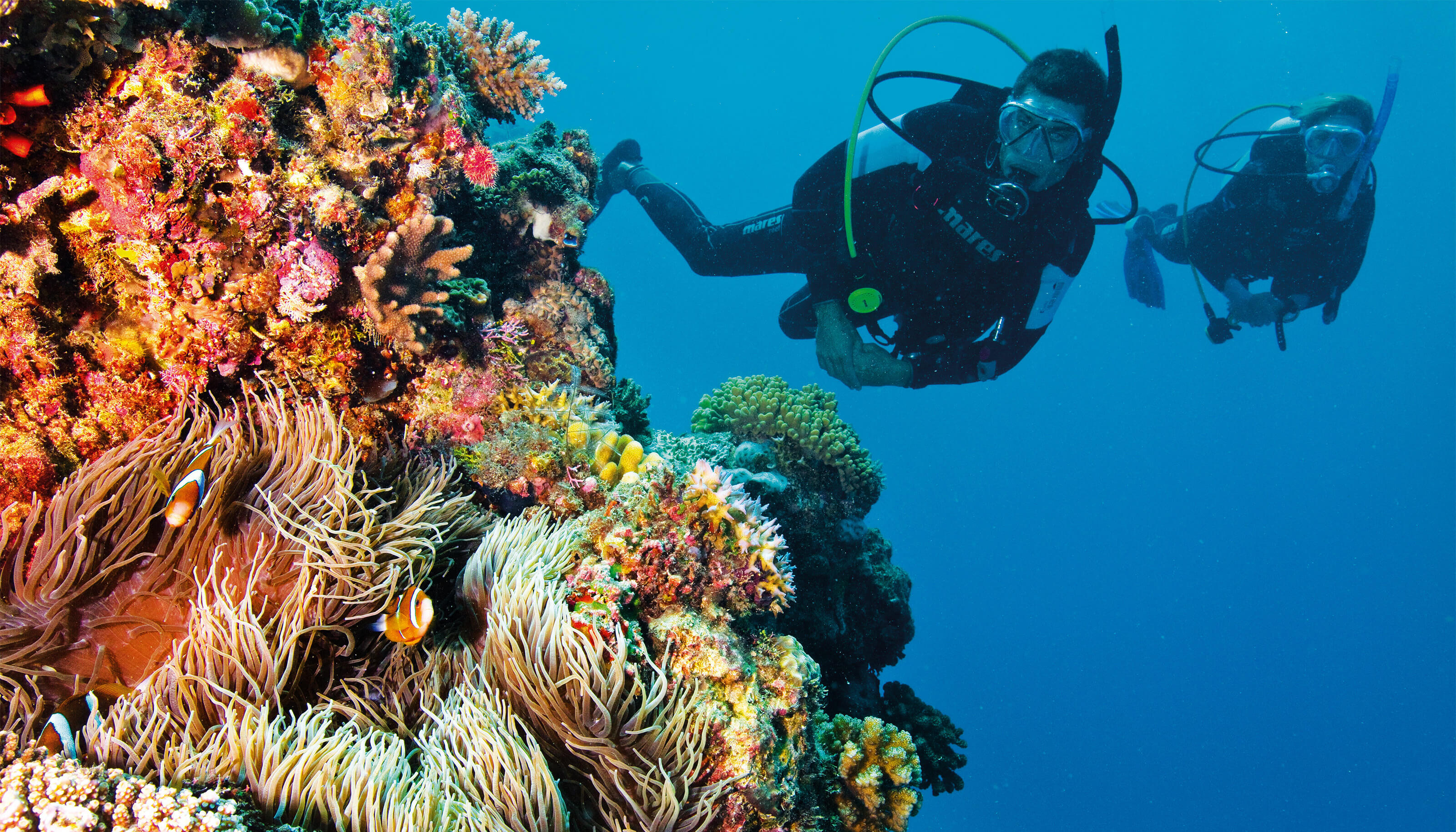 scuba diver on the great barrier reef