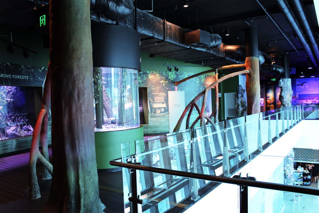 inside the cairns aquarium building