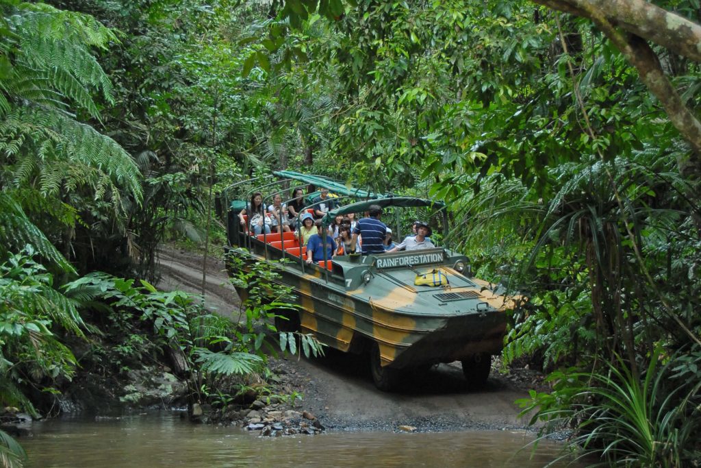 Army Duck Rainforestation
