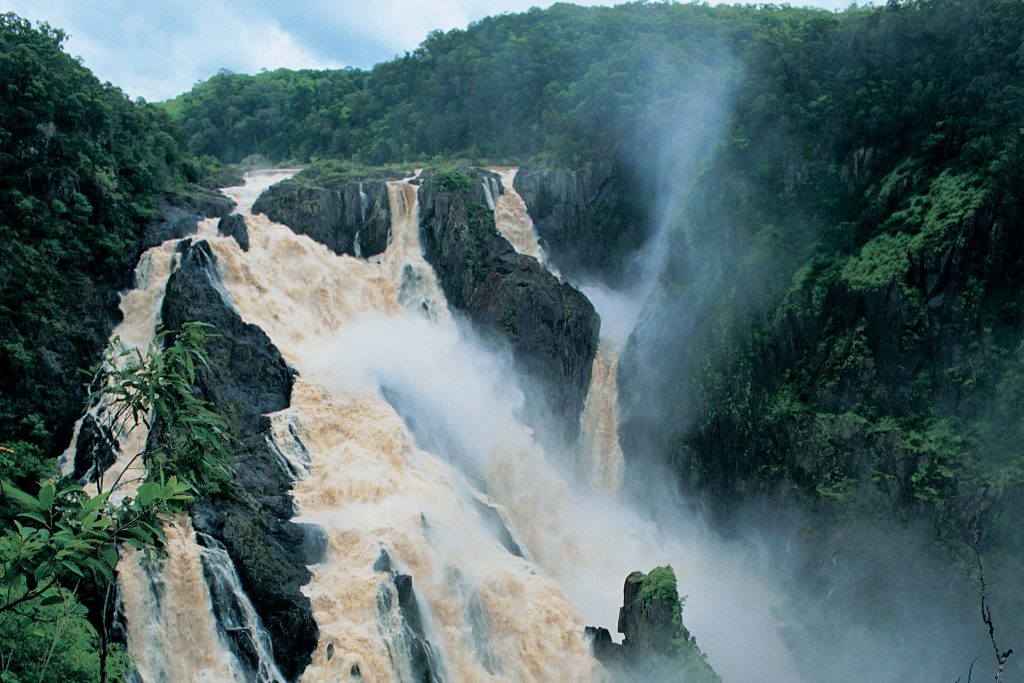 Cairns Great Barrier Reef 世界最古の熱帯雨林 Cairns Great Barrier Reef 世界最古の熱帯雨林