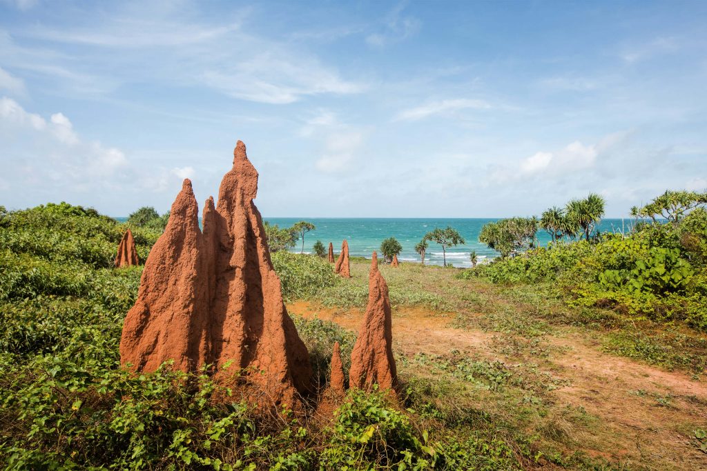 punsand bay termite mounds cape york