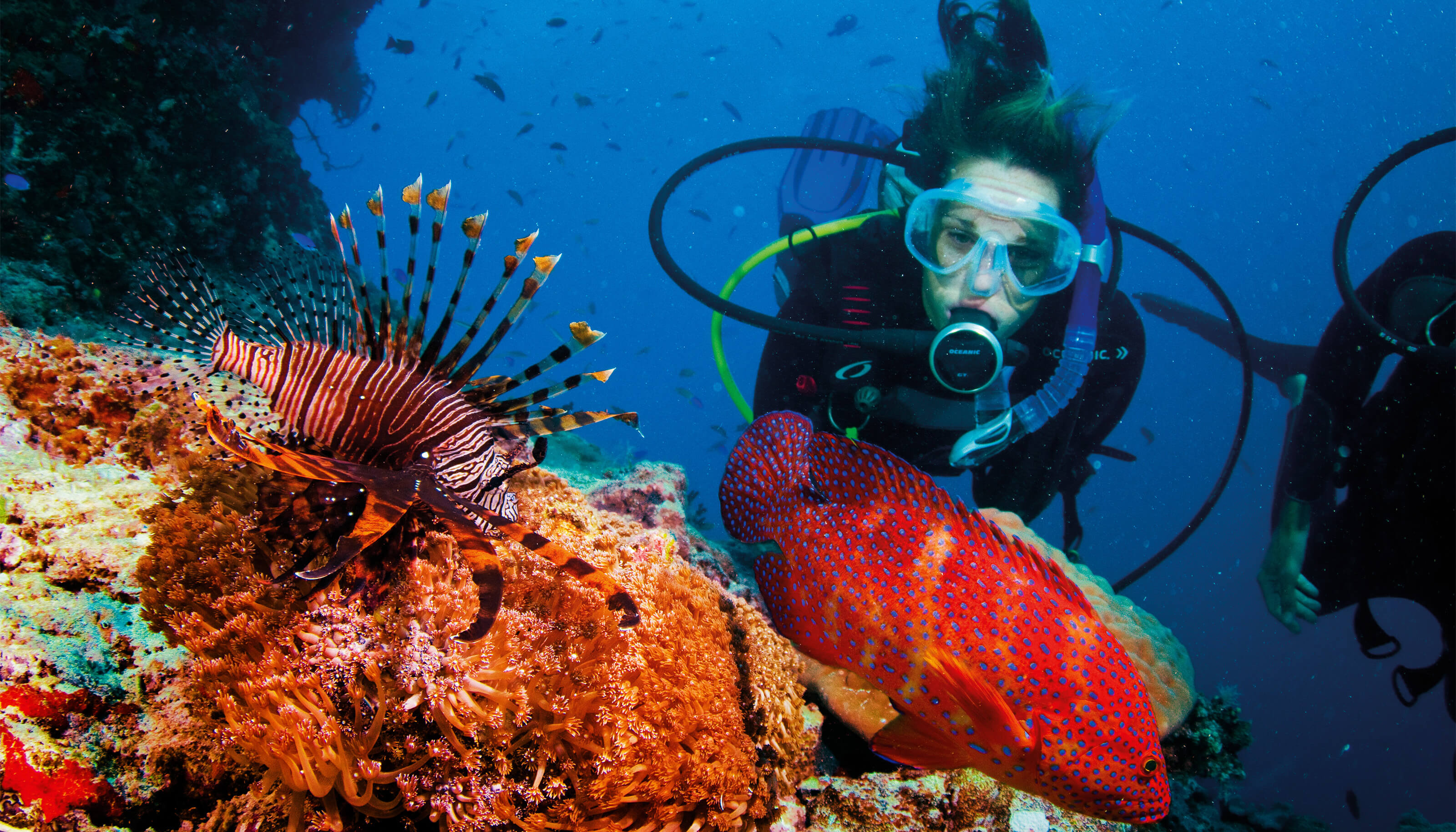 woman scuba diving with coral trout