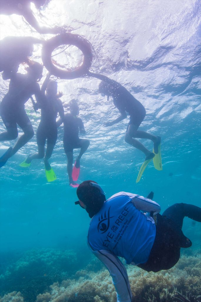 Snorkel safari with sunlover reef cruises