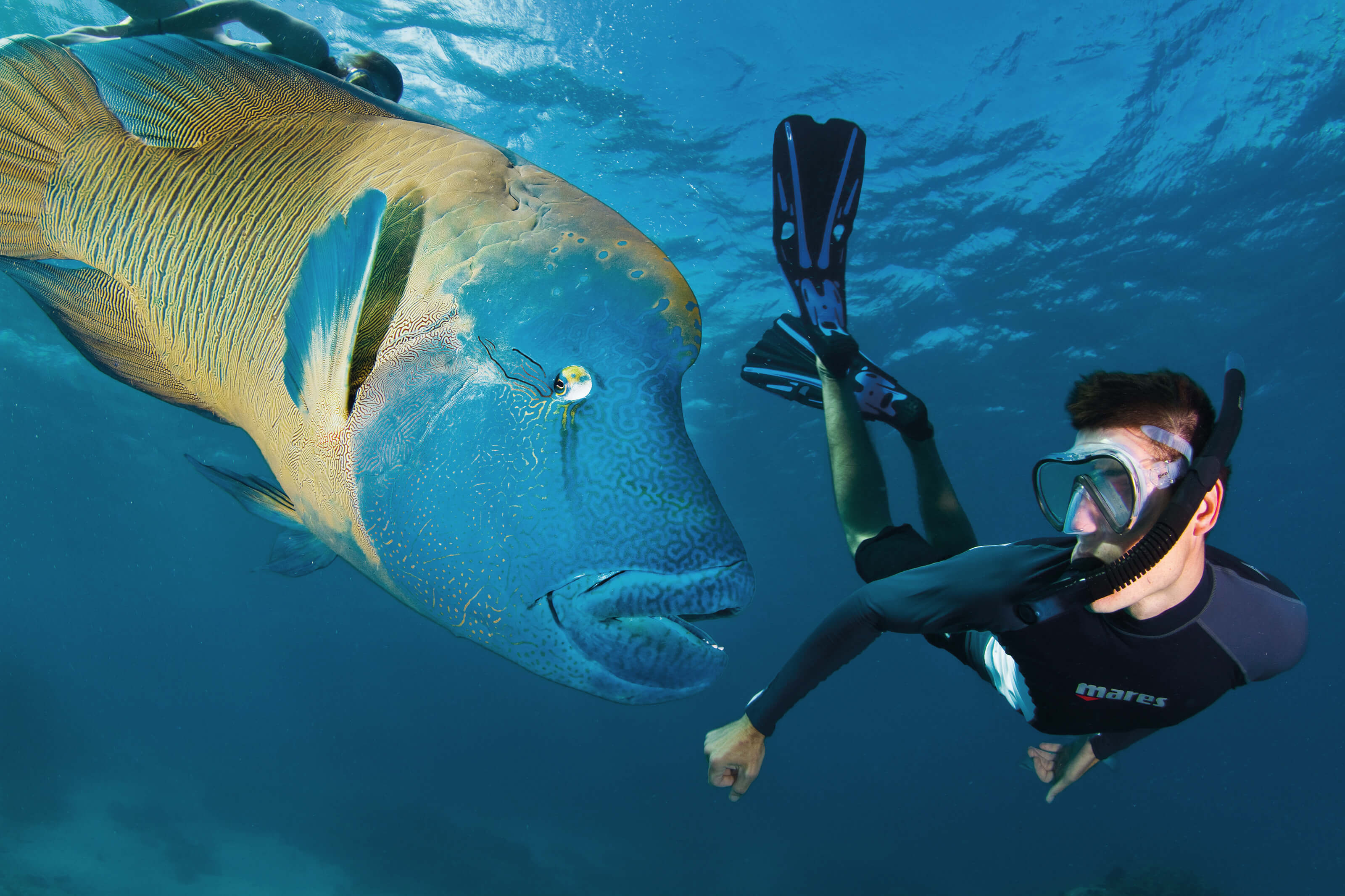 Cairns Great Barrier Reef グレートバリアリーフ オーシャン