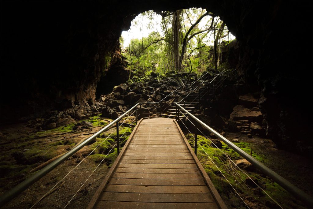 cave at undara lava tubes