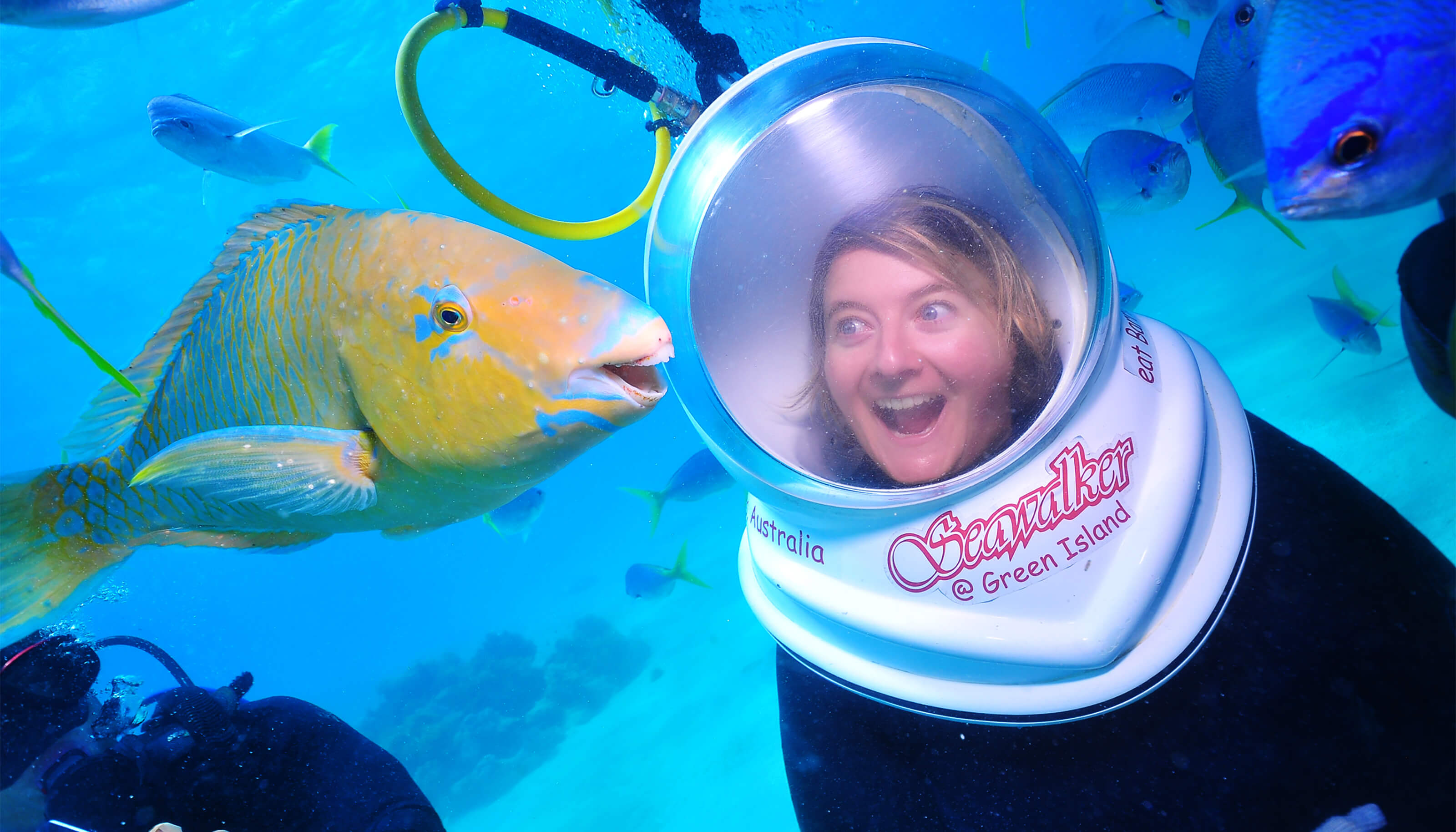 girl helmet diving at green island yellow parrotfish