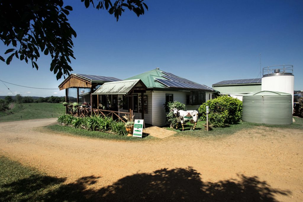 Mungalli Dairy