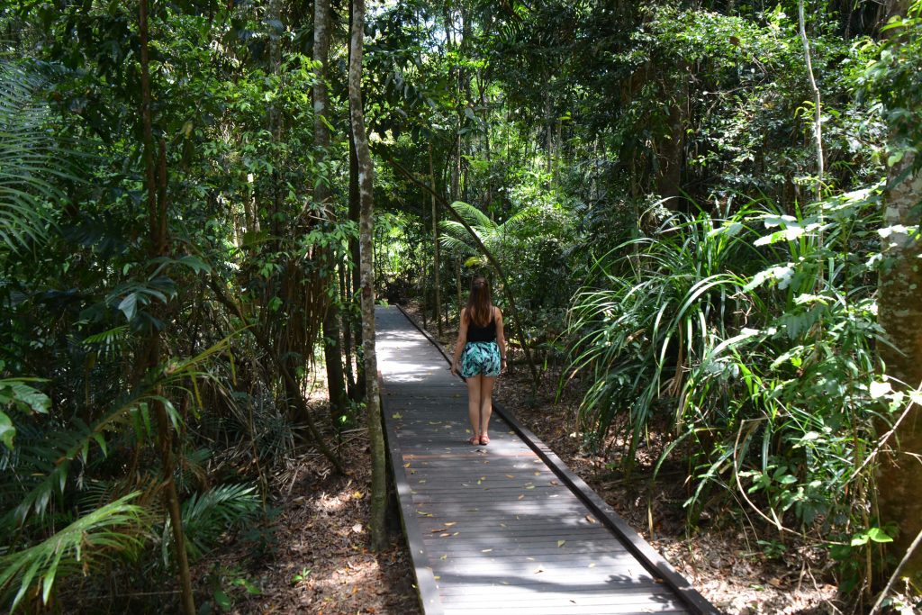 Jurum Creek Walk Kuranda