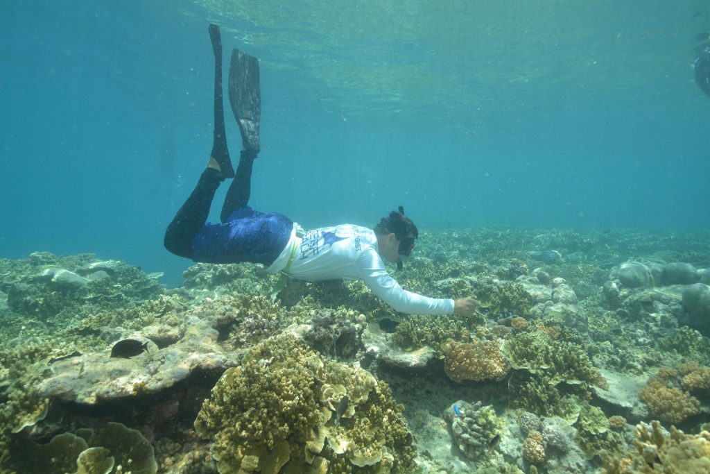 marine bio checking reef