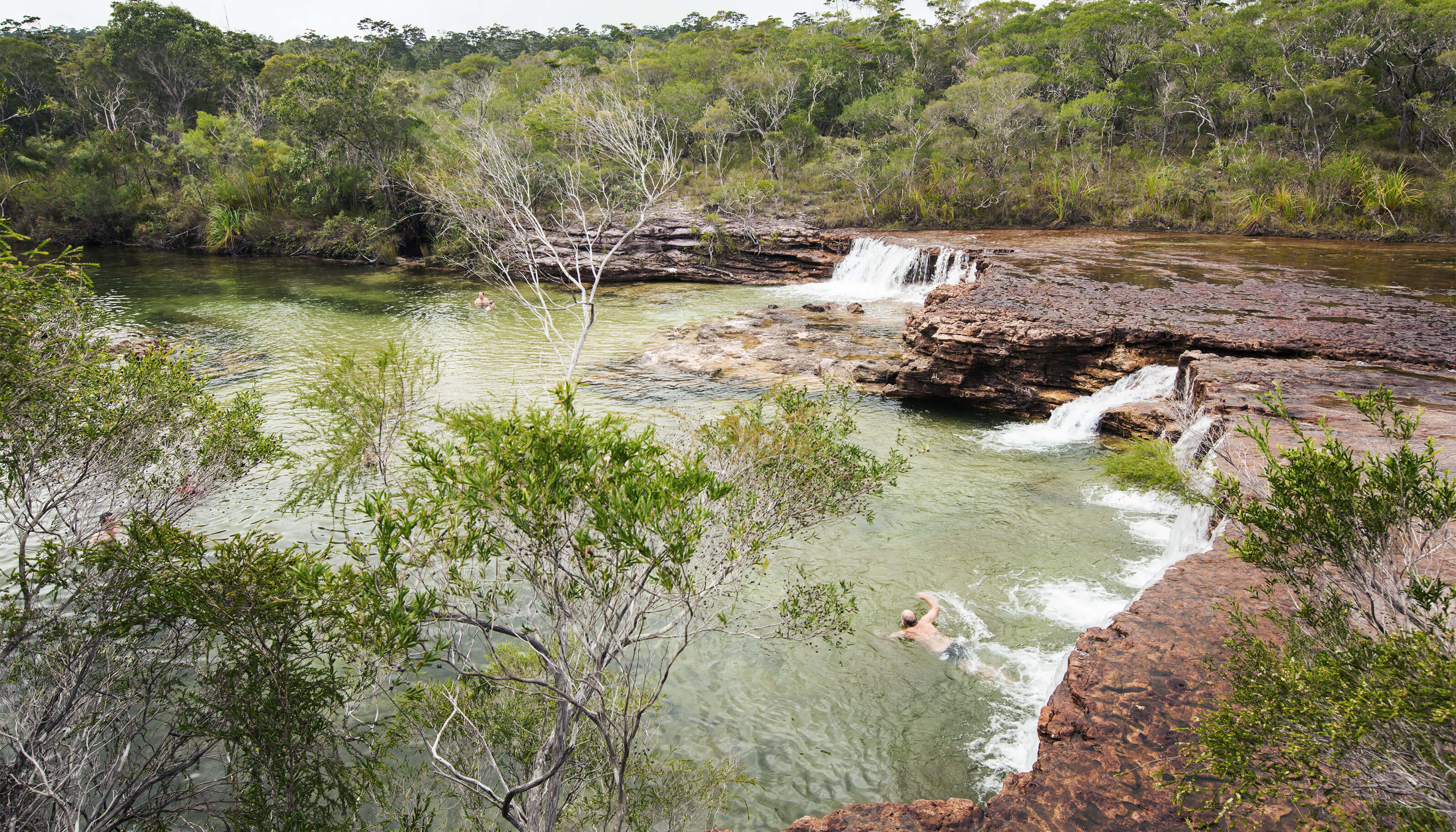 fruit bat falls in cape york