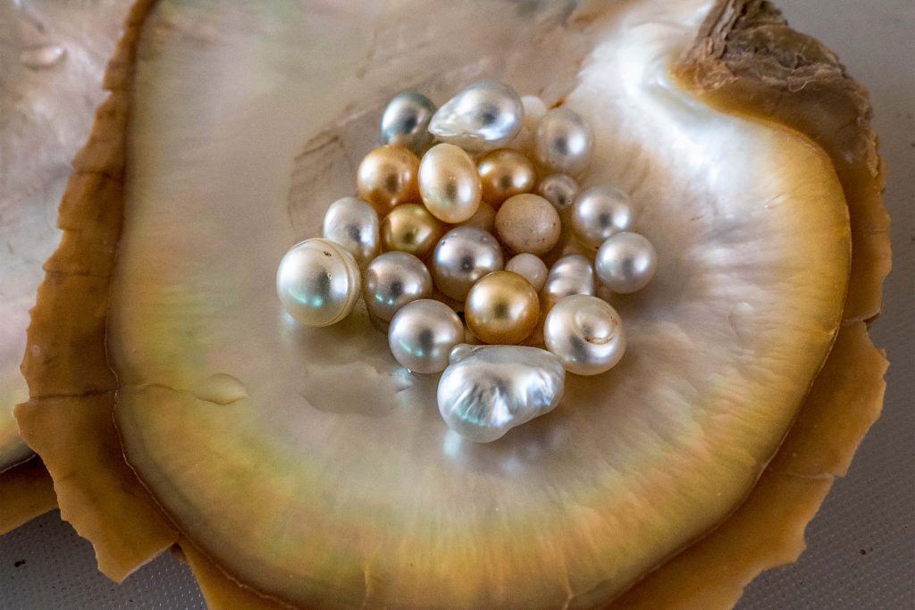 pearl farm in the torres strait