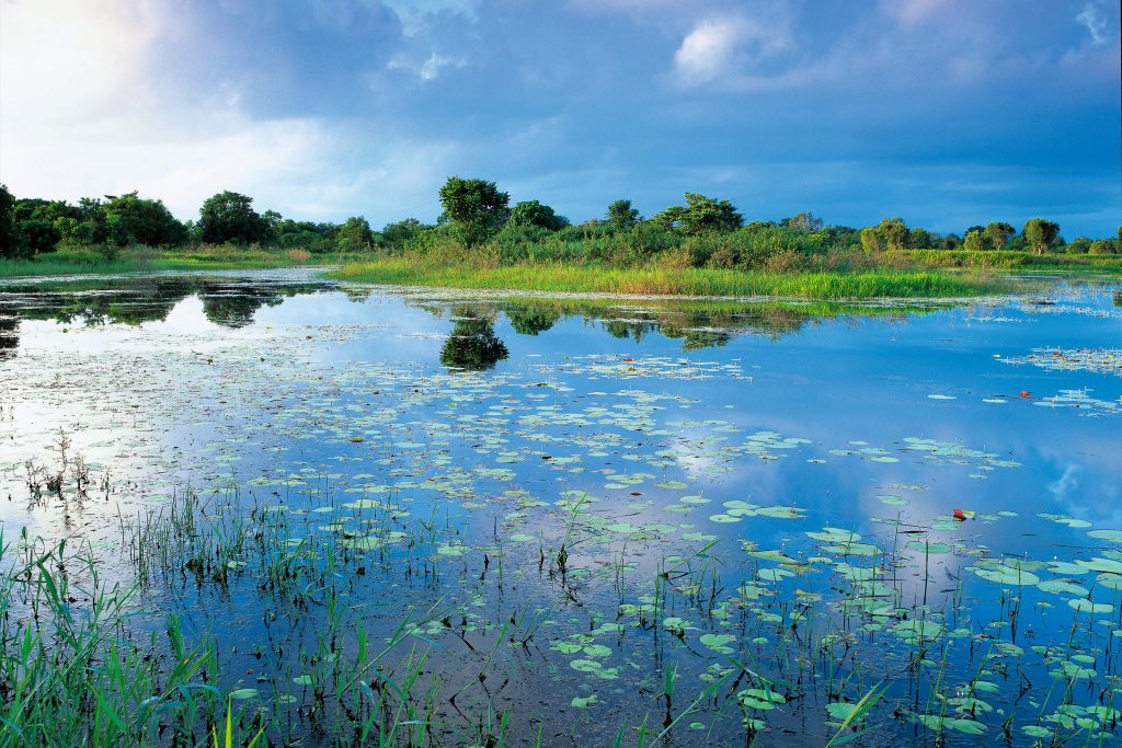 TYTO Wetlands