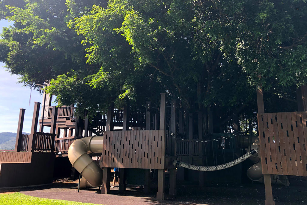 Fig Tree Play Ground