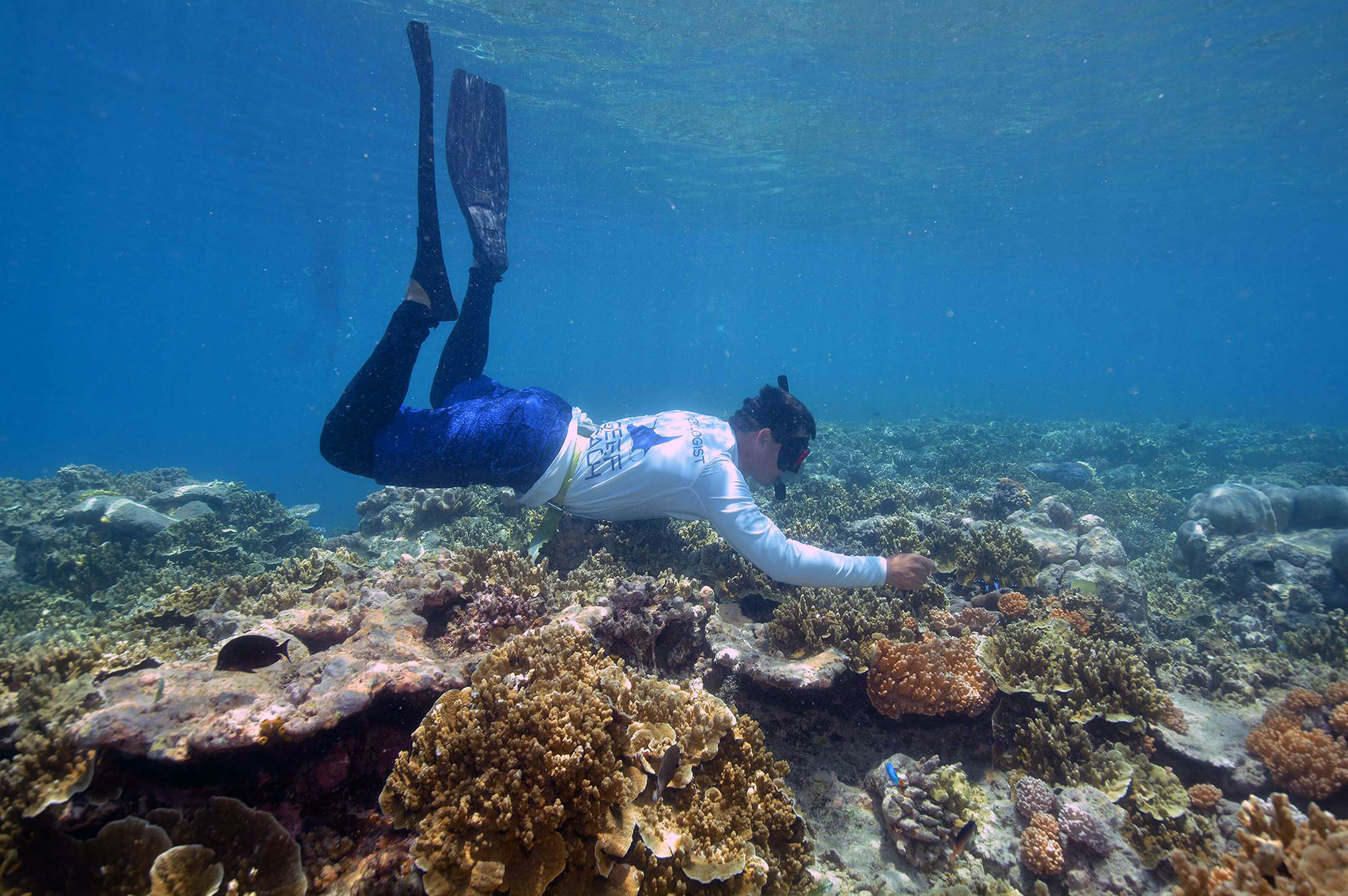Gareth Phillips snorkelling on the reef
