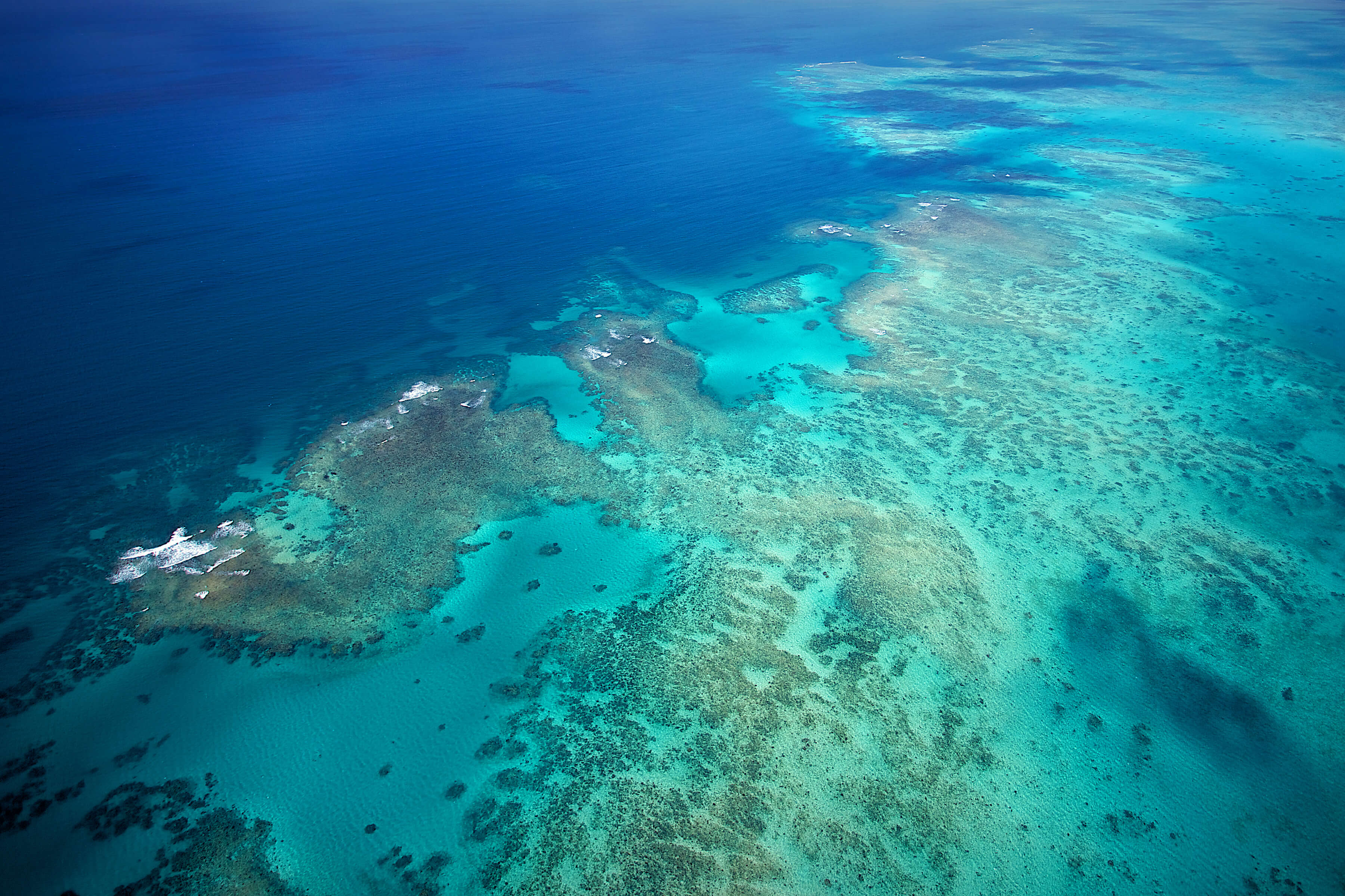 Cairns Great Barrier Reef グレートバリアリーフ