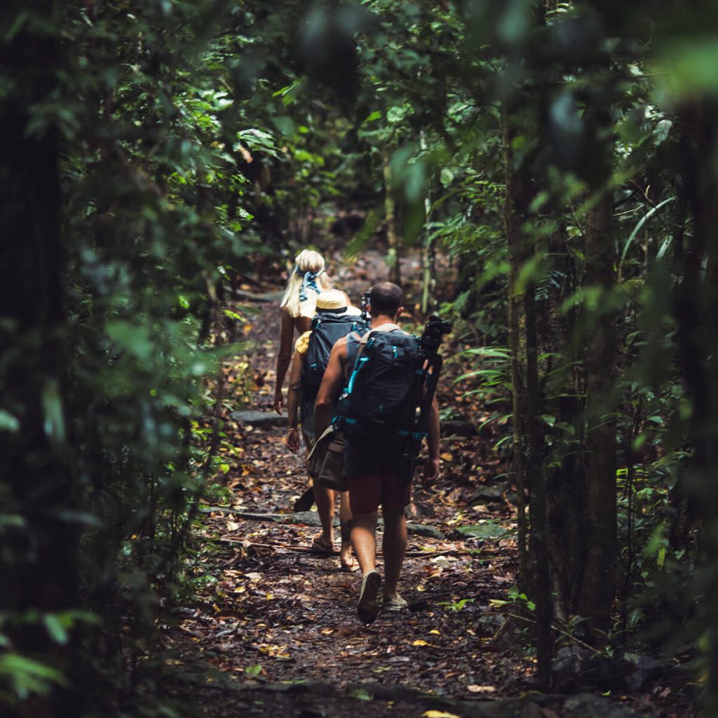 Hiking in the rainforest