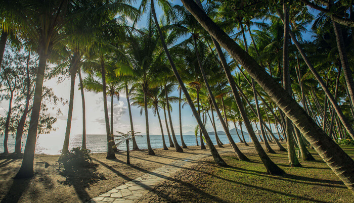 Palm Cove