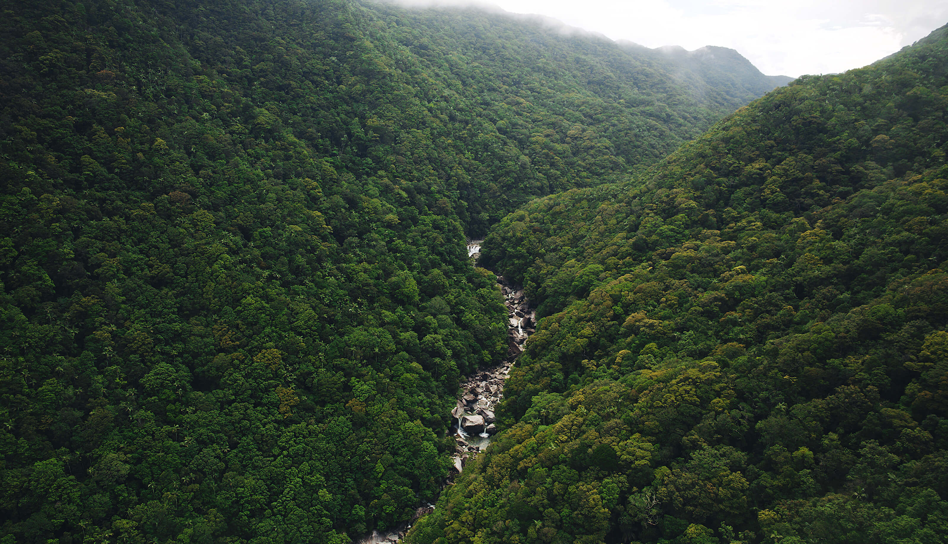 Valley in wet tropics rainforest